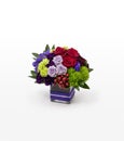 Red, purple, green mixed flower arrangement in a square vase for florists. Royalty Free Stock Photo