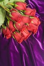 Red Roses on Purple Velvet