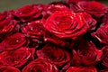 Red roses