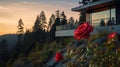 Serene Sunset: Whistlerian Style Red Roses Above A Polished House