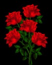 Red roses romantic flowers 1