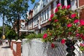Red Roses with a Row of Brick Residential Buildings and Homes in Astoria Queens New York along a Sidewalk Royalty Free Stock Photo