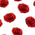 Red roses seamless pattern on a white background . Royalty Free Stock Photo