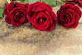 Red roses on stone table Royalty Free Stock Photo