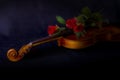 Red roses on violin Royalty Free Stock Photo