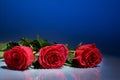 Red roses in water on a blue background