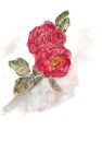 Red roses, watercolor graphic drawing, copy space