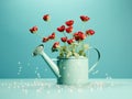 Red roses in a watering can, Water droplets suspended in motion. Concept: growth through care