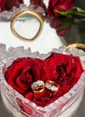 red roses with wedding rings suitable as a wedding