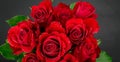 Red roses on white background for Valentines day Royalty Free Stock Photo