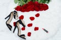 Red roses on white fur, black shoes, lipstick and rose petals. T Royalty Free Stock Photo