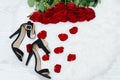 Red roses on white fur, black shoes and rose petals, top view Royalty Free Stock Photo