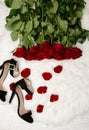 Red roses on white fur, black shoes and rose petals, top view Royalty Free Stock Photo