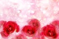 Red roses in wonderful romantic soft pastel pink pearl bokeh