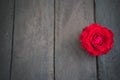 Red roses on wood background,Retro vintage , Royalty Free Stock Photo