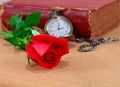 Red roses on wooden.Red rose on wooden with watch and old book .