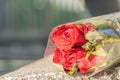 Red roses wrapped in clear plastic