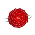 Red rosette gift bow Royalty Free Stock Photo