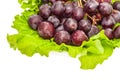 Red round grapes with salad fresh green leaves on light ceramic plate isolated white background Royalty Free Stock Photo