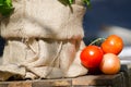 Red round group tomato putting on a book with brown sack at the background.