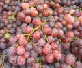 Red round juicy grapes arranged for sale