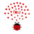 Red round lady bug insect with hearts. Cute cartoon character. Word Love Greeting card. Happy Valentines Day. White background. Fl Royalty Free Stock Photo