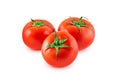 Red round tomatoes Royalty Free Stock Photo