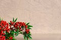 Red Rowan bushes with green leaves close-up, on a light beige pinkish blurred background. Artificial plant. Plastic recycling.