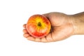 Red Royal Gala Apple in Male Hand on White Background Royalty Free Stock Photo