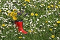 Red rubber boot with wildflowers in grass. Royalty Free Stock Photo