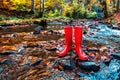 Red rubber boots and forest stream Royalty Free Stock Photo