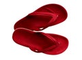 Rubber slippers - red Royalty Free Stock Photo