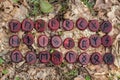 Red runes carved from wood