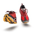 Red running sport shoes Royalty Free Stock Photo