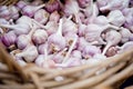 Garlic bulbs wicker basket Royalty Free Stock Photo