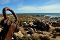 A red rusty anchor on the shores of the West Coast Royalty Free Stock Photo