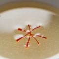 Red saffron threads floating on a clear liquid surface, stylistically arranged in a star- Royalty Free Stock Photo