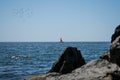 A red sailboat at sea. Birds cross blue sky on a beautiful summer day Royalty Free Stock Photo