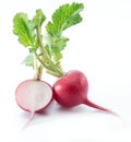 Red salad redish on the white background.