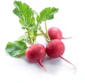 Red salad redish on the white background