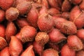 Red salak