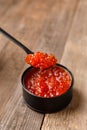 Red salmon caviar in a black tin can and a black spoon full of caviar on a wooden background Royalty Free Stock Photo