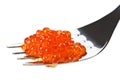 Red salmon caviar heap on metal fork Royalty Free Stock Photo