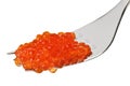 Red salmon caviar heap on metal fork Royalty Free Stock Photo