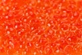 Red salmon caviar texture background Royalty Free Stock Photo