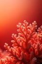 Red salmon coral gradient abstract design