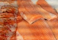 Red salmon fish and shrimps on the ice Royalty Free Stock Photo