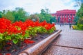 Red salvia bloom in front of Kyiv National University red corp, Kyiv, Ukraine