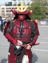 Red Samurai Warrior