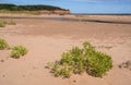 Red Sand Beach of North Rustico PEI Royalty Free Stock Photo